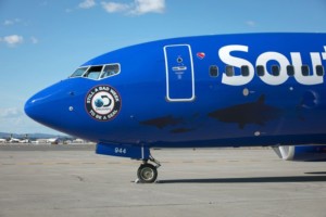 Southwest Airlines Releases Shark Week-Themed Aircraft for Takeoff This Summer New York Airport 170629SharkWeek web006 source 2 Metropolitan Airport News