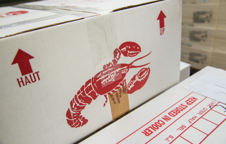 Lufthansa Cargo Relies On Temperature Tracking in Real Time Lufthansa Cargo Relies On Temperature Tracking in Real Time