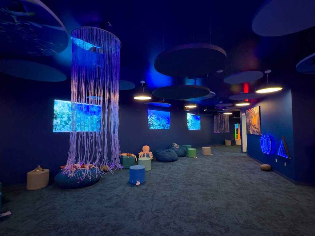 Terminal A at EWR Debuts Second Sensory Room New York Airport 54407248212 49ebe69219 k Metropolitan Airport News