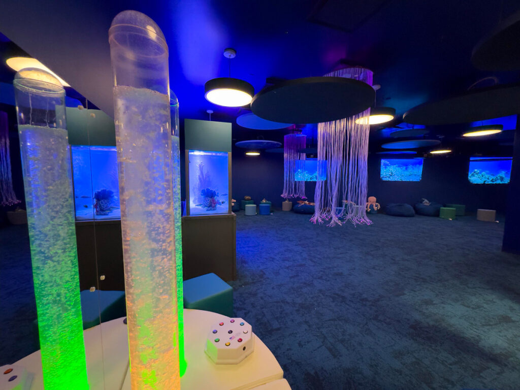 Terminal A at EWR Debuts Second Sensory Room New York Airport 54408119491 c6dd41cd4a k Metropolitan Airport News