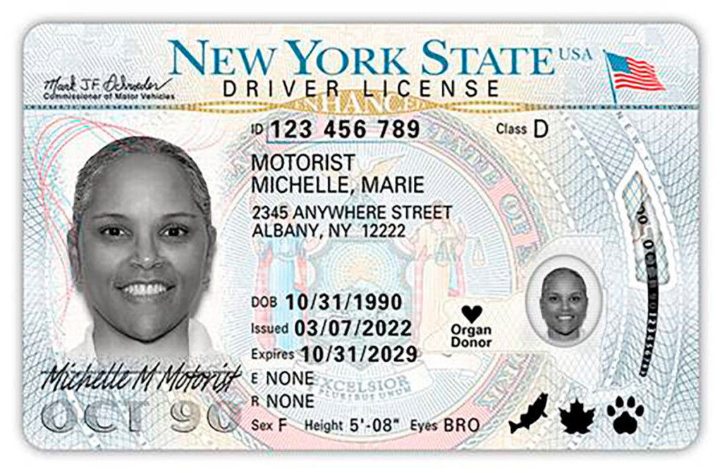 New York Residents Reminded to Get Their REAL ID to Board an Airplane New York Airport A New York State enhanced driver license.
