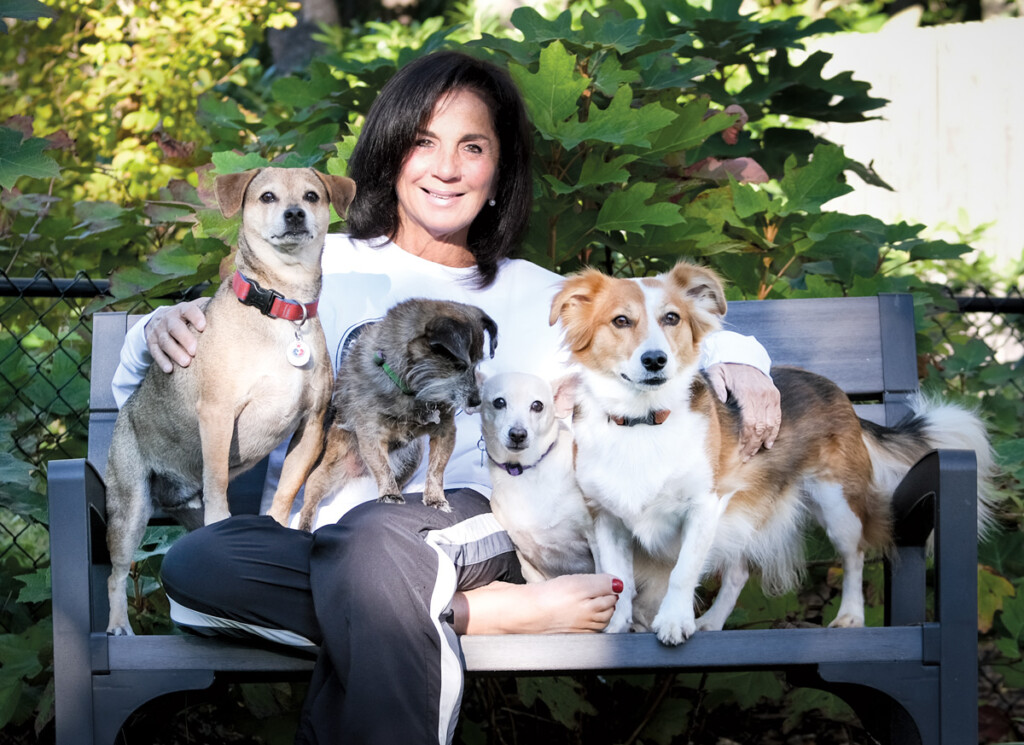 Flights to the Rescue! New York Airport Andrea Herrick, Founder ‘Proud Rescuers of Puerto Rico’, with a lap full of rescues.