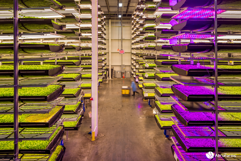 Singapore Airlines Announces “Farm-to-Plane” Initiative With Aerofarms New York Airport AeroFarms 1 Metropolitan Airport News