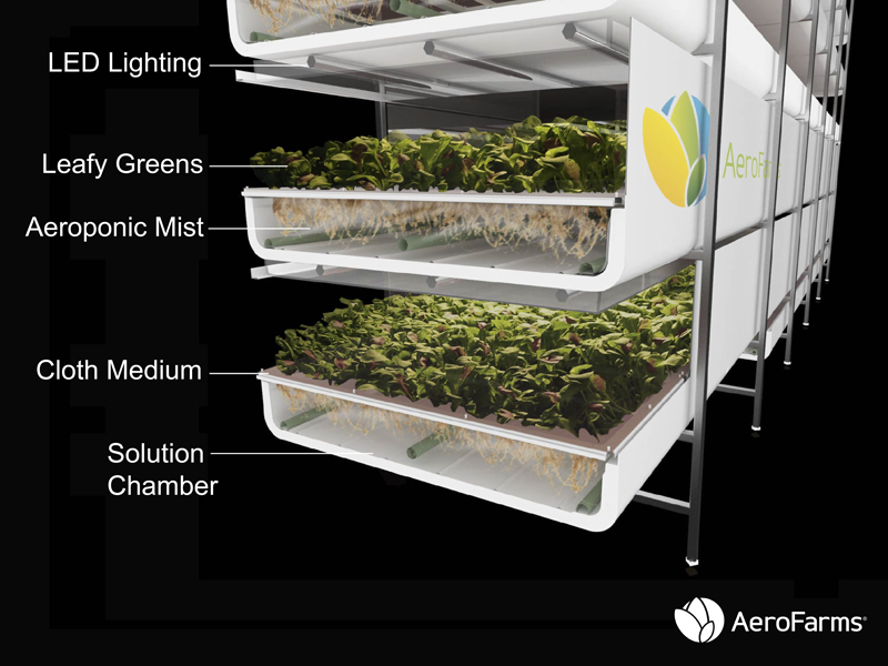 Singapore Airlines Announces “Farm-to-Plane” Initiative With Aerofarms New York Airport AeroFarms Technology adjusted 01 Metropolitan Airport News