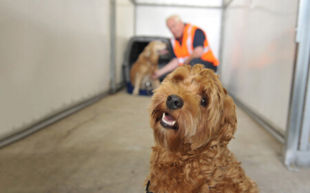 Air Canada Becomes First Airline to Receive IATA Recertification for the Safe Transportation of Live Animals Air Canada Becomes First Airline to Receive IATA Recertification For the Safe Transportation of Live Animals