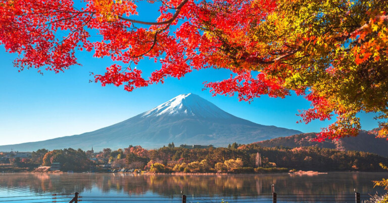 American Airlines Welcomes Tentative Approval to Start Nonstop Service from New York American Airlines Tokyo Metropolitan Airport News