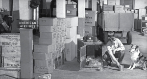 Early example of an American Airlines designed container for pets. New York Airport Early example of an American Airlines designed container for pets.