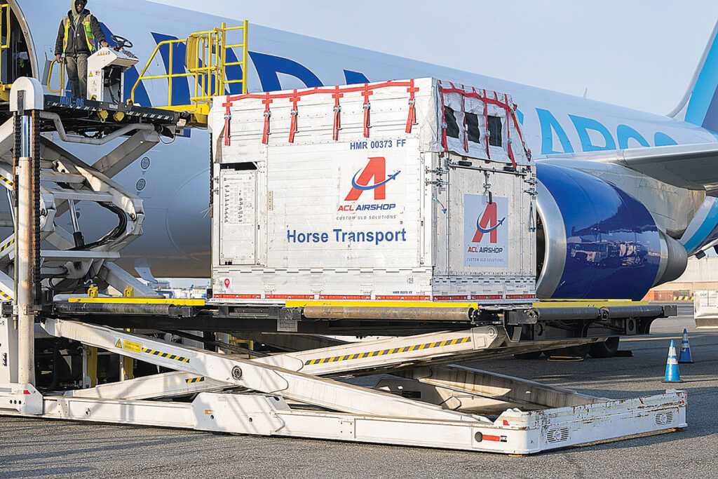 (The ark at JFK)