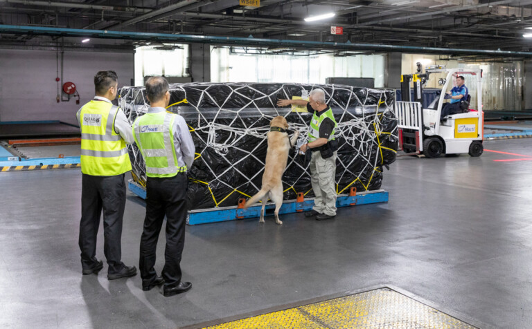 Qatar Airways Cargo and Hactl Partner In Canine Detection to Sniff Out Lithium Batteries Qatar Airways Cargo and Hactl partner in canine detection to sniff out lithium batteries.