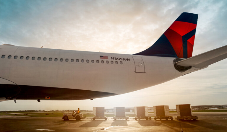 DELTA AIRLINES STRAWS