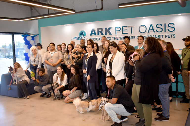 The Blessing of the Animals at The ARK at JFK Airport DSC 0022 Metropolitan Airport News