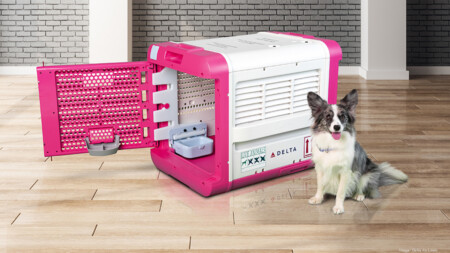 Delta Air Lines Launches Innovative Solution for Pet Travel Delta CarePod Metropolitan Airport News