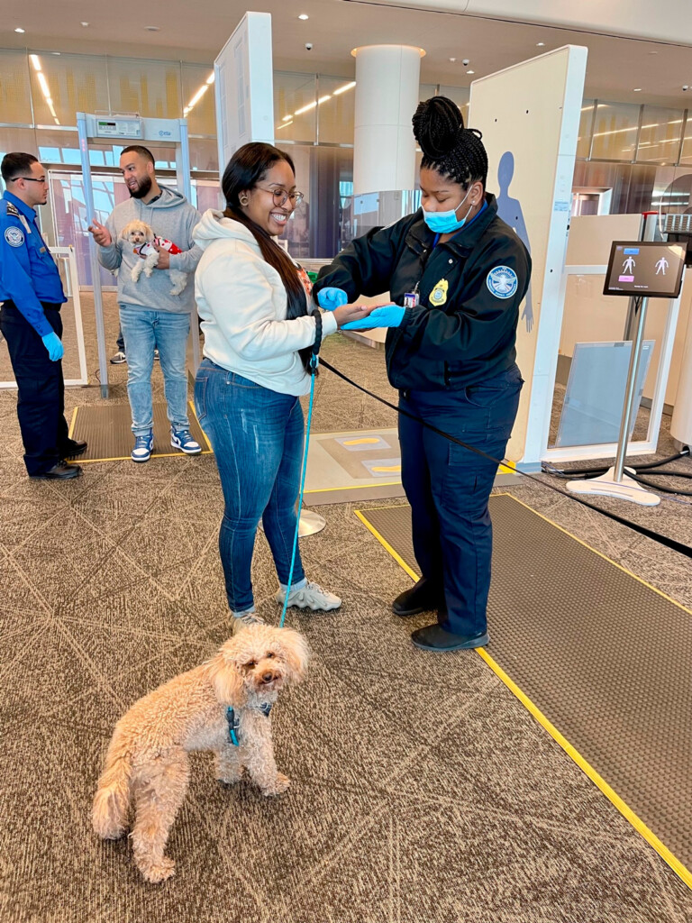 TSA Tips On Traveling With Pets Through Airport Security Checkpoints New York Airport Dog Screening at LGA Airport