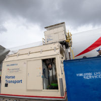 Emirates SkyCargo Delivers Close to 100 Horses to Miami from Mexico City New York Airport Emirates SkyCargo Horses 0177 Metropolitan Airport News