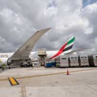 Emirates SkyCargo Delivers Close to 100 Horses to Miami from Mexico City New York Airport Emirates SkyCargo Horses 1 Metropolitan Airport News