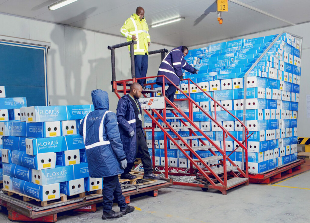 Swissport Facilitates Transit of 9,000 Tons of Roses for Valentine’s Day New York Airport Swissport handling flowers at the Nairobi cargo center