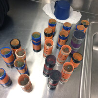 Live Birds Seized By CBP at JFK New York Airport JFK Finches 003 Metropolitan Airport News