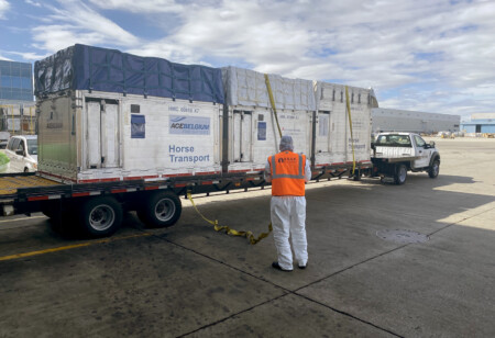 New Ground Handler Arrives at JFK Airport JUNE WEB27 ASAK HORSE TRANSPORT Metropolitan Airport News