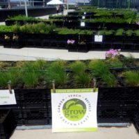 JetBlue Open Concept JFK 4 Metropolitan Airport News