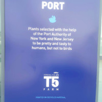 JetBlue Open Concept JFK 6 Metropolitan Airport News