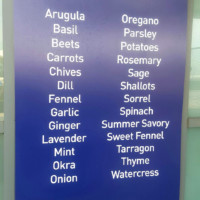 JetBlue Open Concept JFK 8 Metropolitan Airport News