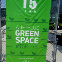 JetBlue Open Concept JFK 9 Metropolitan Airport News