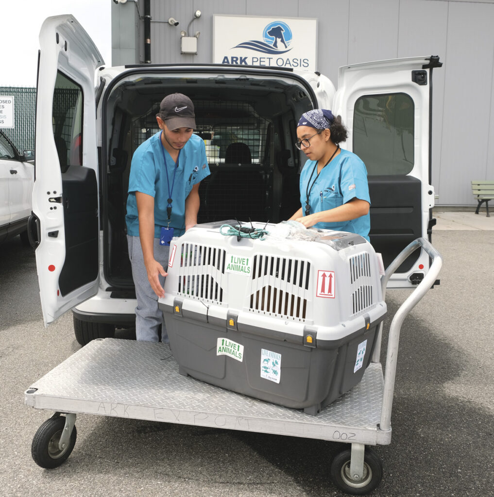 The ARK at JFK New York Airport Julian and Gaby loading dog.