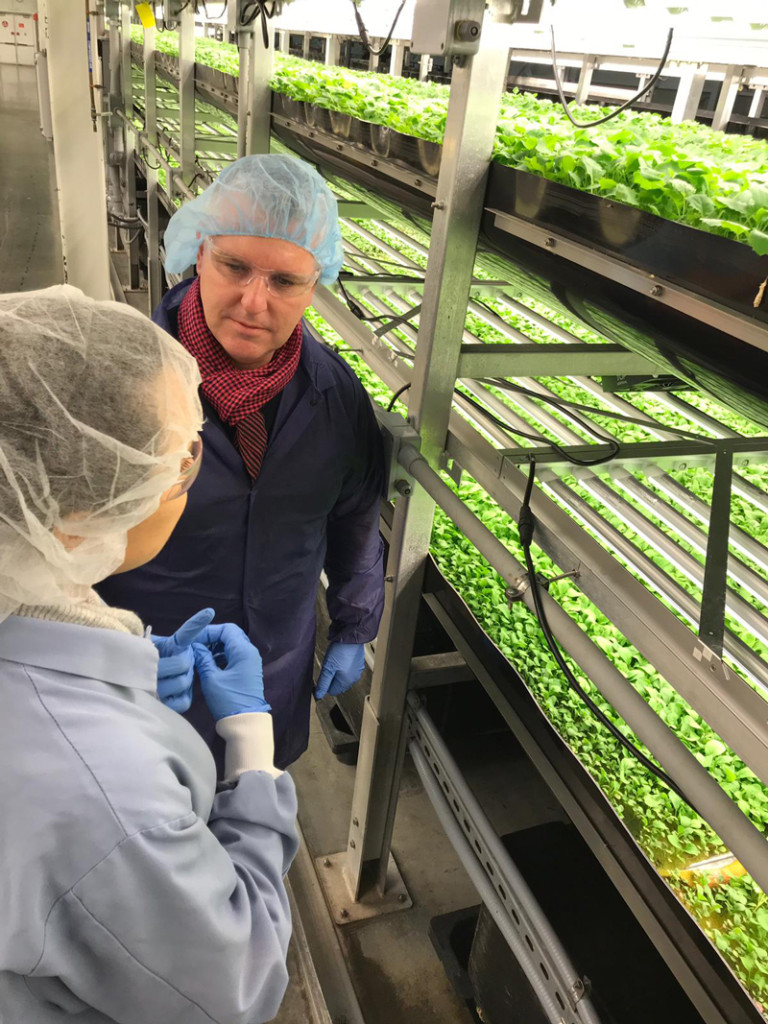 Singapore Airlines Announces “Farm-to-Plane” Initiative With Aerofarms New York Airport MFB at AeroFarms Metropolitan Airport News