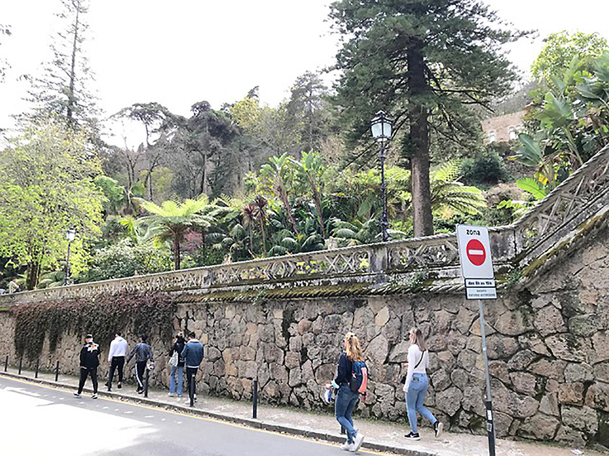 Non Rev Traveler Sintra 7 Metropolitan Airport News