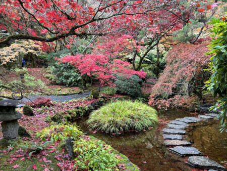A Three-Day Trip to Vancouver & Victoria, Canada Non-Rev-Traveler A Three-Day Trip to Vancouver & Victoria, Canada