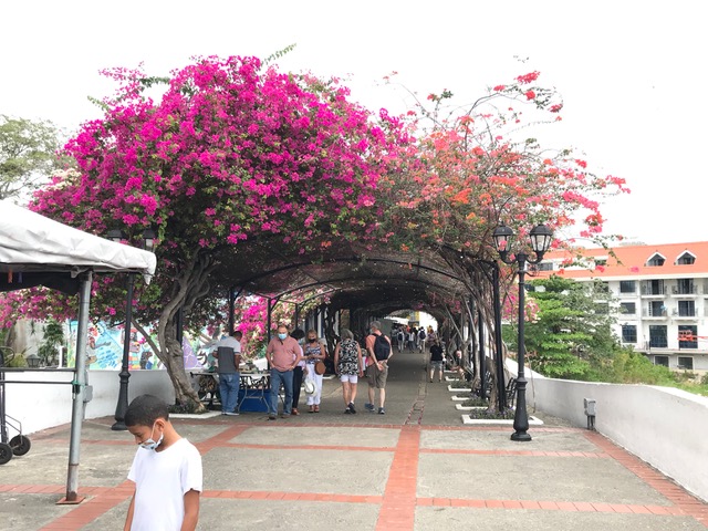 NonRev Traveler Panama City 8 Metropolitan Airport News