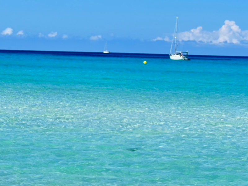 Palma De Mallorca, Spain Revisited