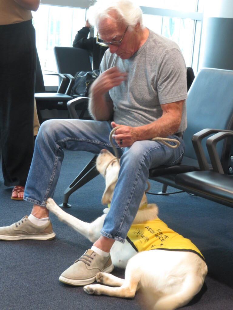 The Guide Dog Foundation at JFKIAT on Giving Bark Thursday New York Airport The Guide Dog Foundation at JFKIAT on Giving Bark Thursday