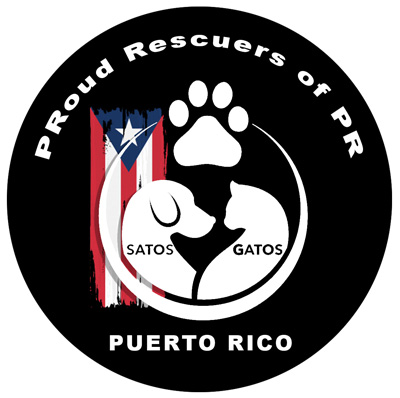 Flights to the Rescue! New York Airport Proud Rescuers of Puerto Rico