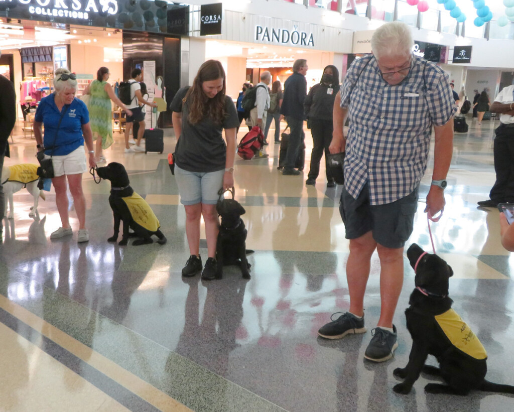 The Guide Dog Foundation at JFKIAT on Giving Bark Thursday New York Airport The Guide Dog Foundation at JFKIAT on Giving Bark Thursday