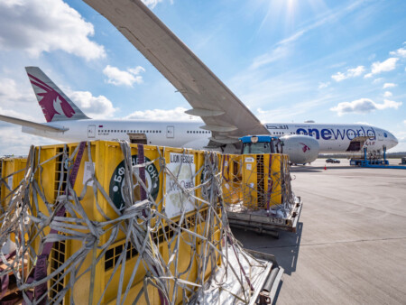 Qatar Airways Cargo Returns Seven Rescued Lions to Their Natural Habitat For Free
