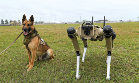 Robot Dogs On the Prowl ROBOT DOGS ON THE PROWL Metropolitan Airport News