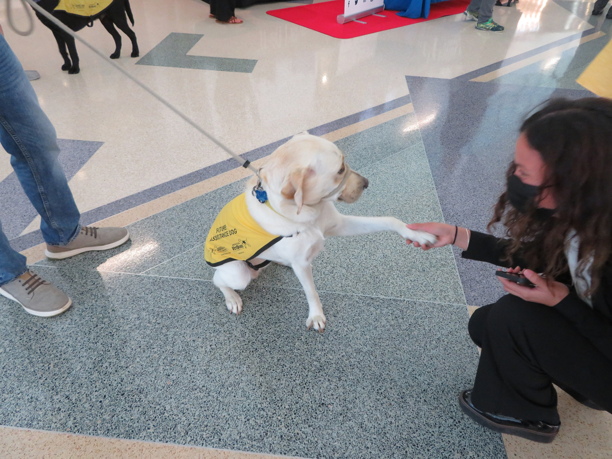 The Guide Dog Foundation at JFKIAT on Giving Bark Thursday New York Airport The Guide Dog Foundation at JFKIAT on Giving Bark Thursday