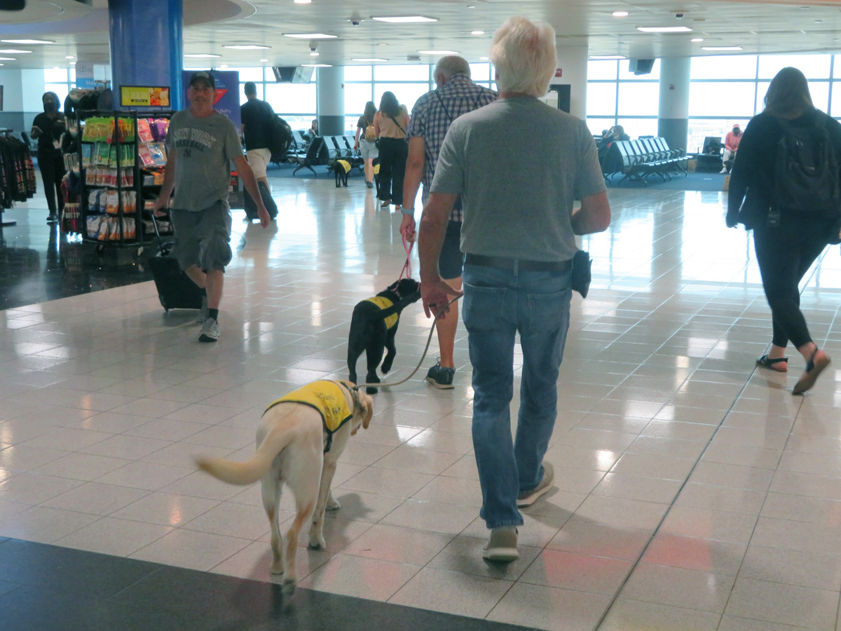 The Guide Dog Foundation at JFKIAT on Giving Bark Thursday New York Airport The Guide Dog Foundation at JFKIAT on Giving Bark Thursday