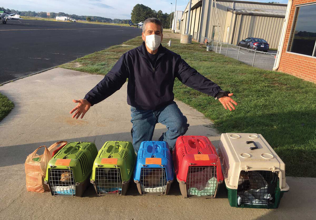 Flights to the Rescue! New York Airport Rick Gutlon Rescue Flight #91: Nine cats rescued from Goldsboro, NC – West Point, VA.