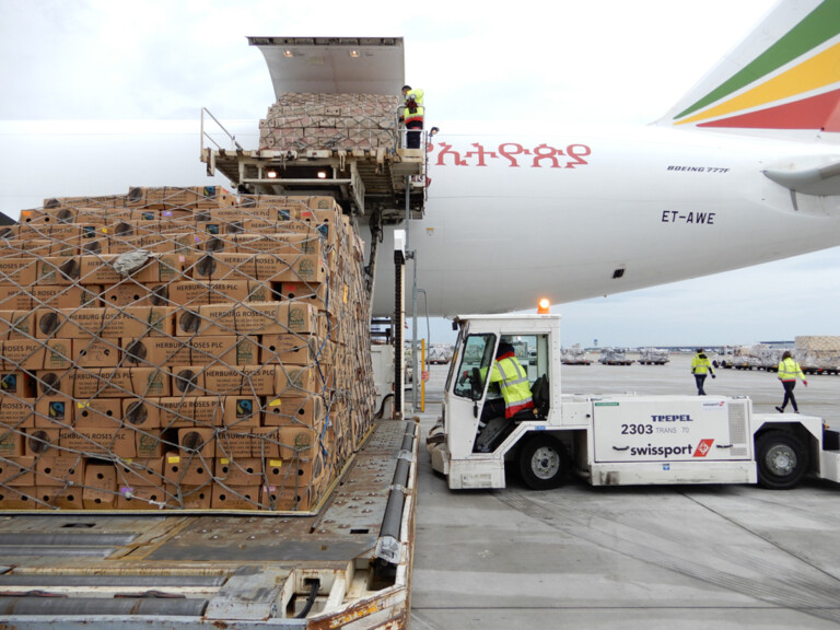 Swissport Facilitates Transit of 9,000 Tons of Roses for Valentine’s Day Swissport unloading flowers at Brussels Airport.