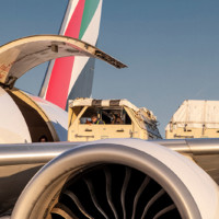 World's Biggest Equine Airlift for FEI World Equestrian Games Tryon 2018 New York Airport TRYO18N1571 Metropolitan Airport News