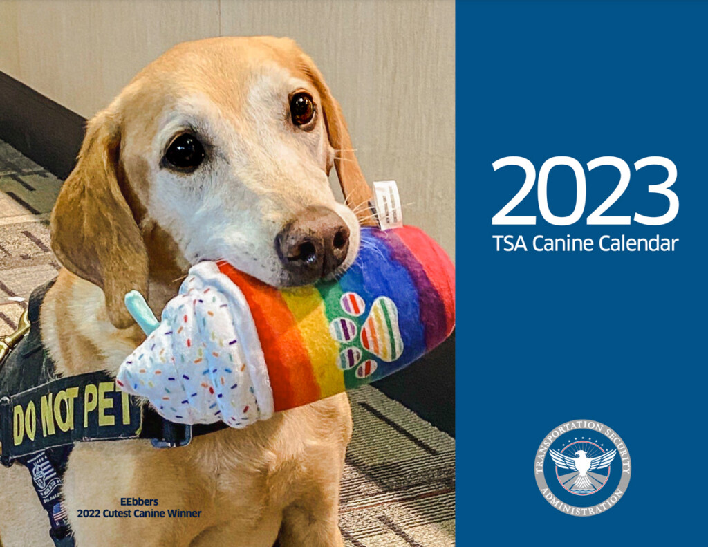 Two TSA Explosives Detection Canines from the New York Area Featured In TSA’s 2023 Canine Calendar New York Airport TSA 2023 Canine Calendar