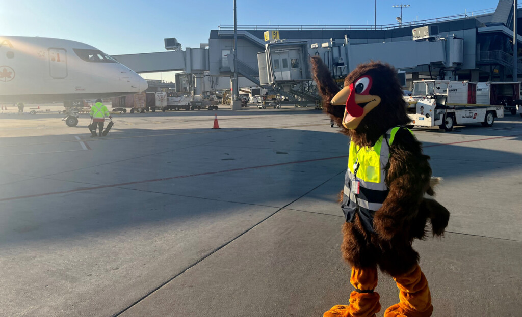 LGA Terminal B Turkey Greets Travelers New York Airport LGA Terminal-B Turkey Out on the ramp.