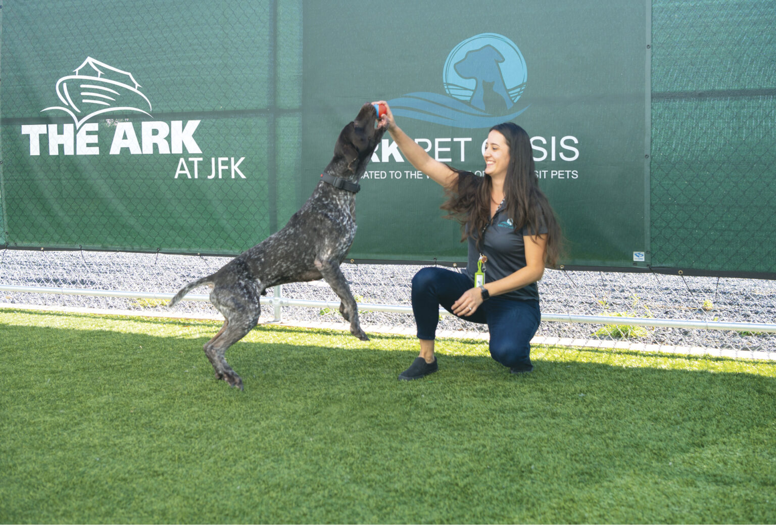 The ARK at JFK One of The ARK’s canine guests, an energetic Pointer, enjoys plenty of TLC and playtime with Kiera Mejia at The ARK Pet Oasis.