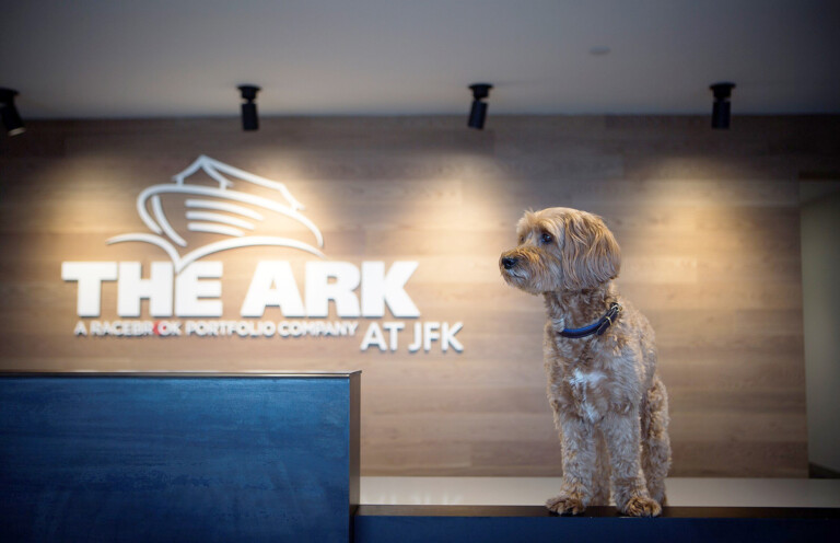 The ARK at JFK Is Now IATA CEIV Live Animals Certified The Ark at JFK
