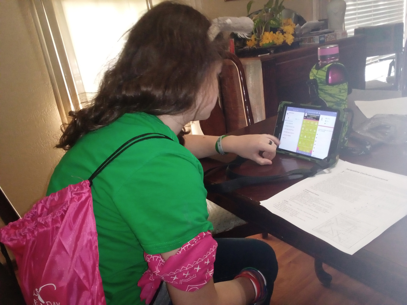 WAI Launches Successful Virtual Girls in Aviation Day 2020 for All New York Airport WAI Launches Successful Virtual Girls in Aviation Day 2020 for All 1 1 Metropolitan Airport News