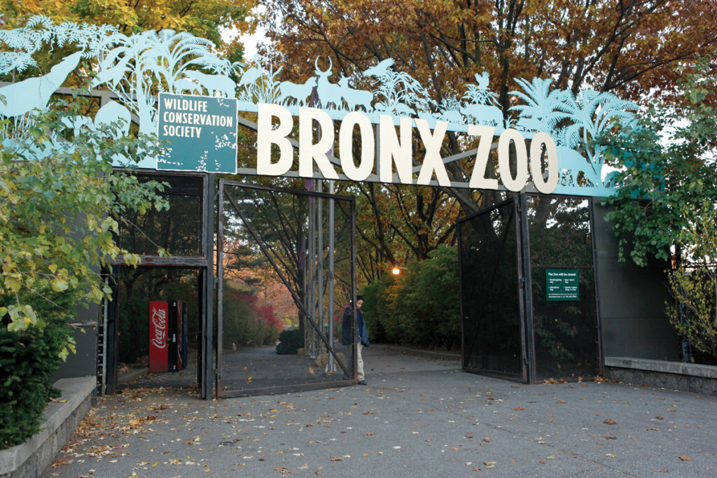Touring New York City: New York Airport Wild Life Conservatory at the Bronx Zoo