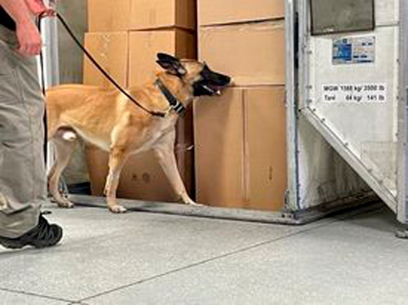 Working Cargo Canines Metropolitan Airport News