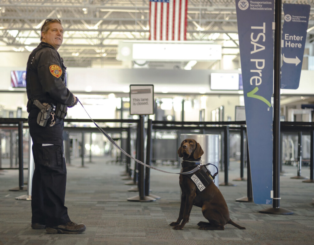 TSA Working Canines at the airport